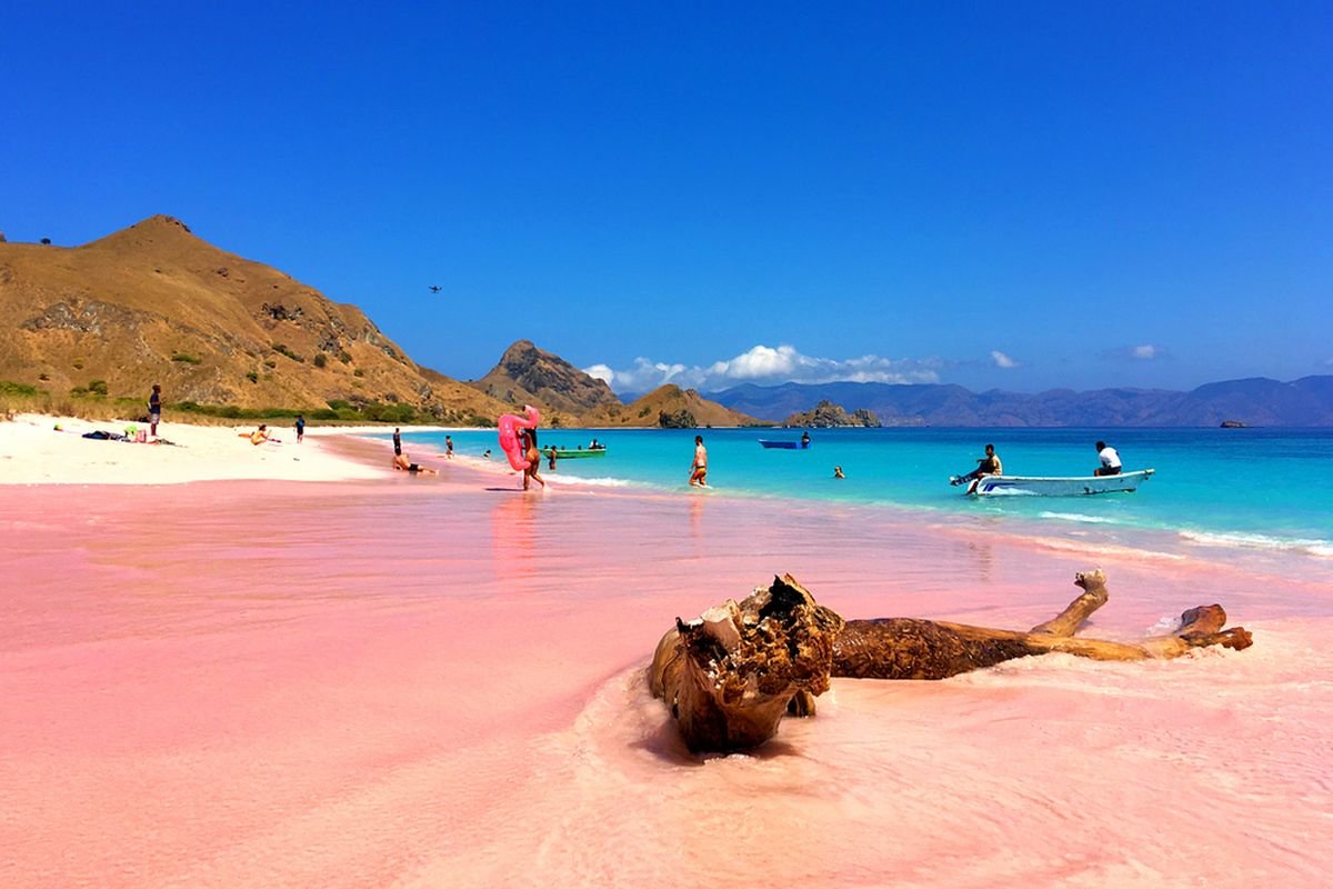 Paket Pulau Komodo & Pink Beach